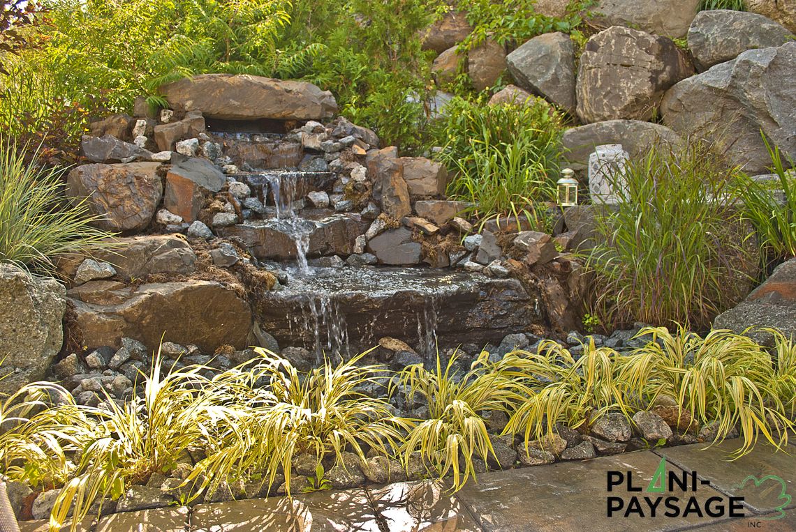 jardin aquatique avec cascade