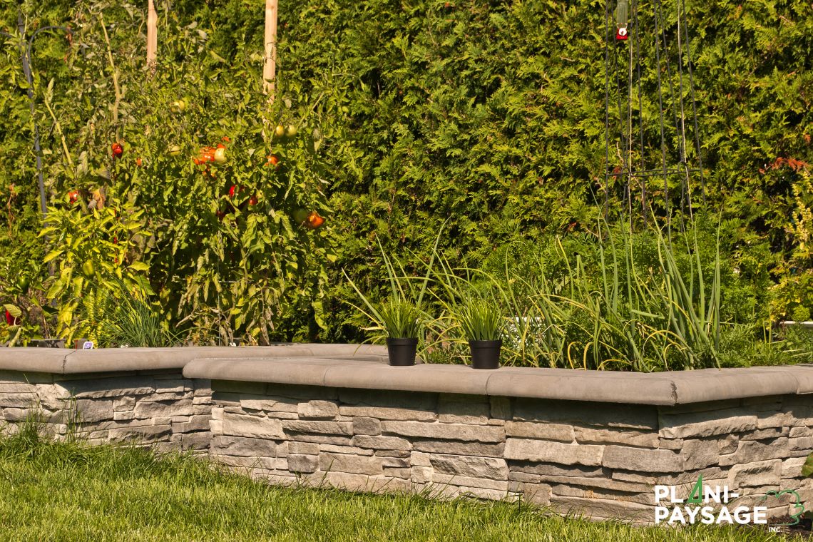 Potager en bac surélevé de béton